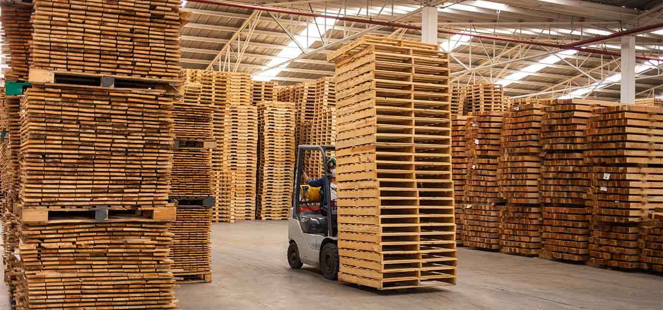 TARIMAS DE MADERA RECICLADAS